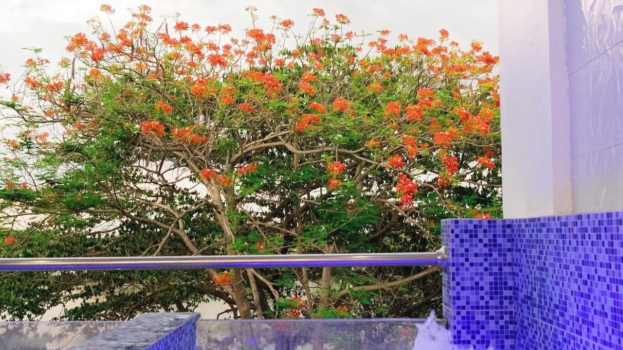 Photo of Outdoor in San Fernando