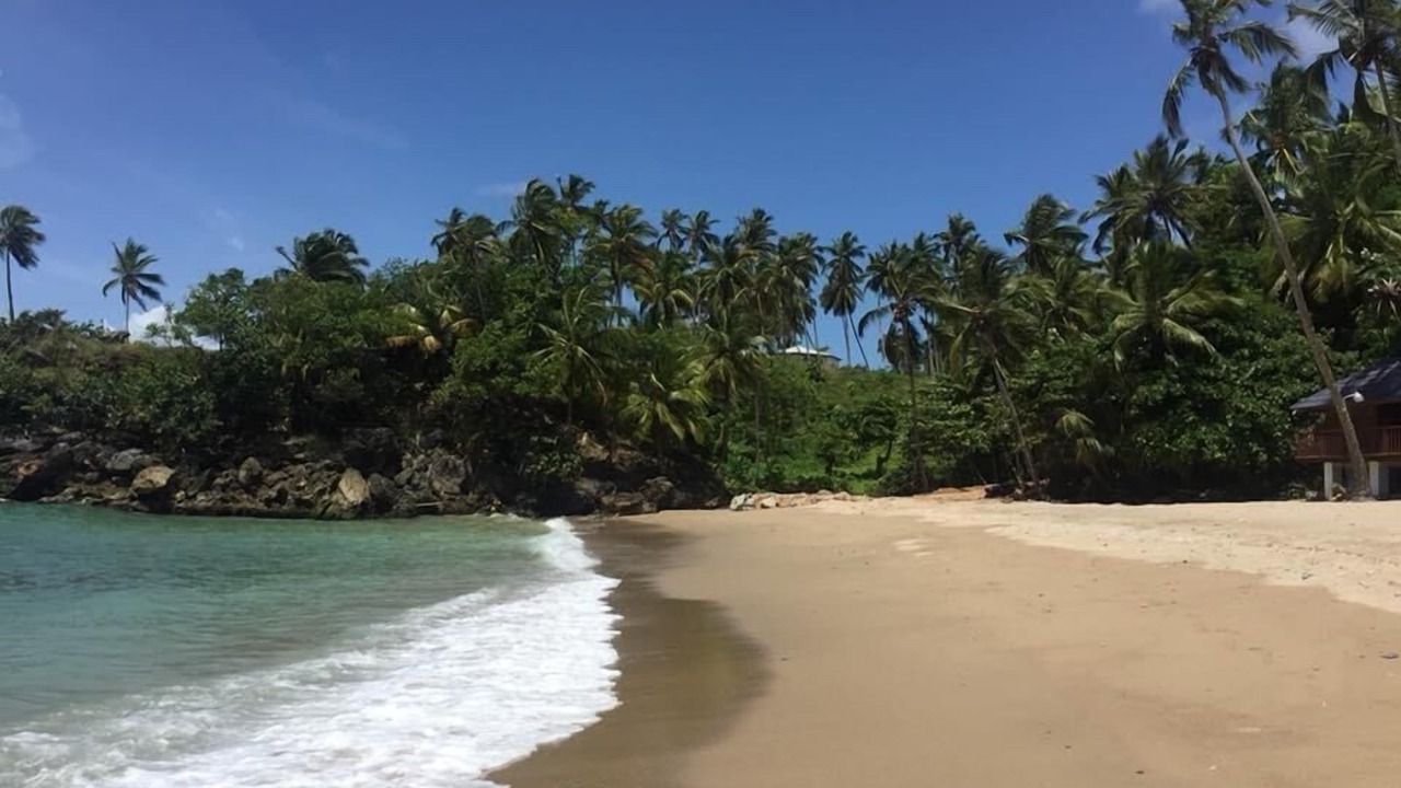 Photo of Others in Samana