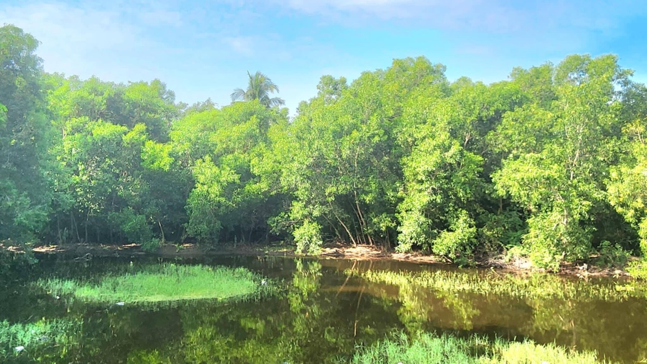 Photo of Outdoor in Aringay