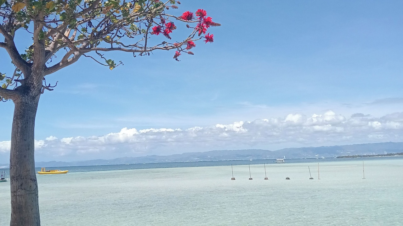 Photo of Others in Central Visayas