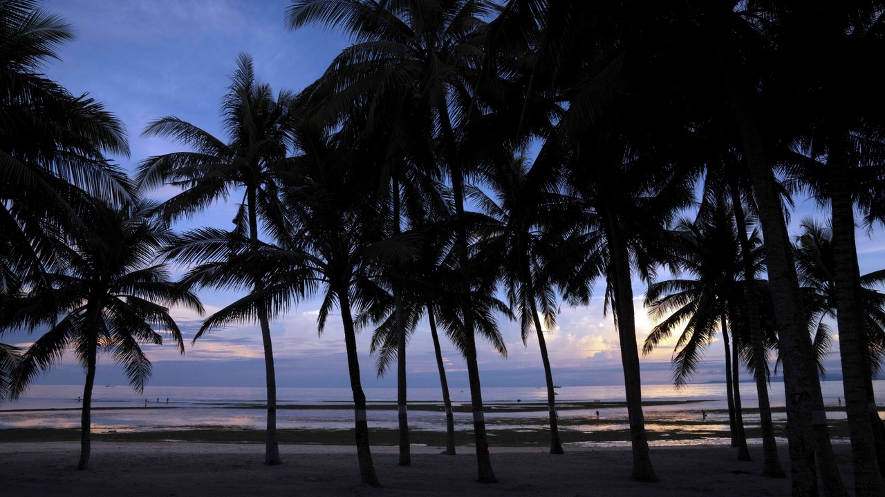 Photo of Others in Panglao