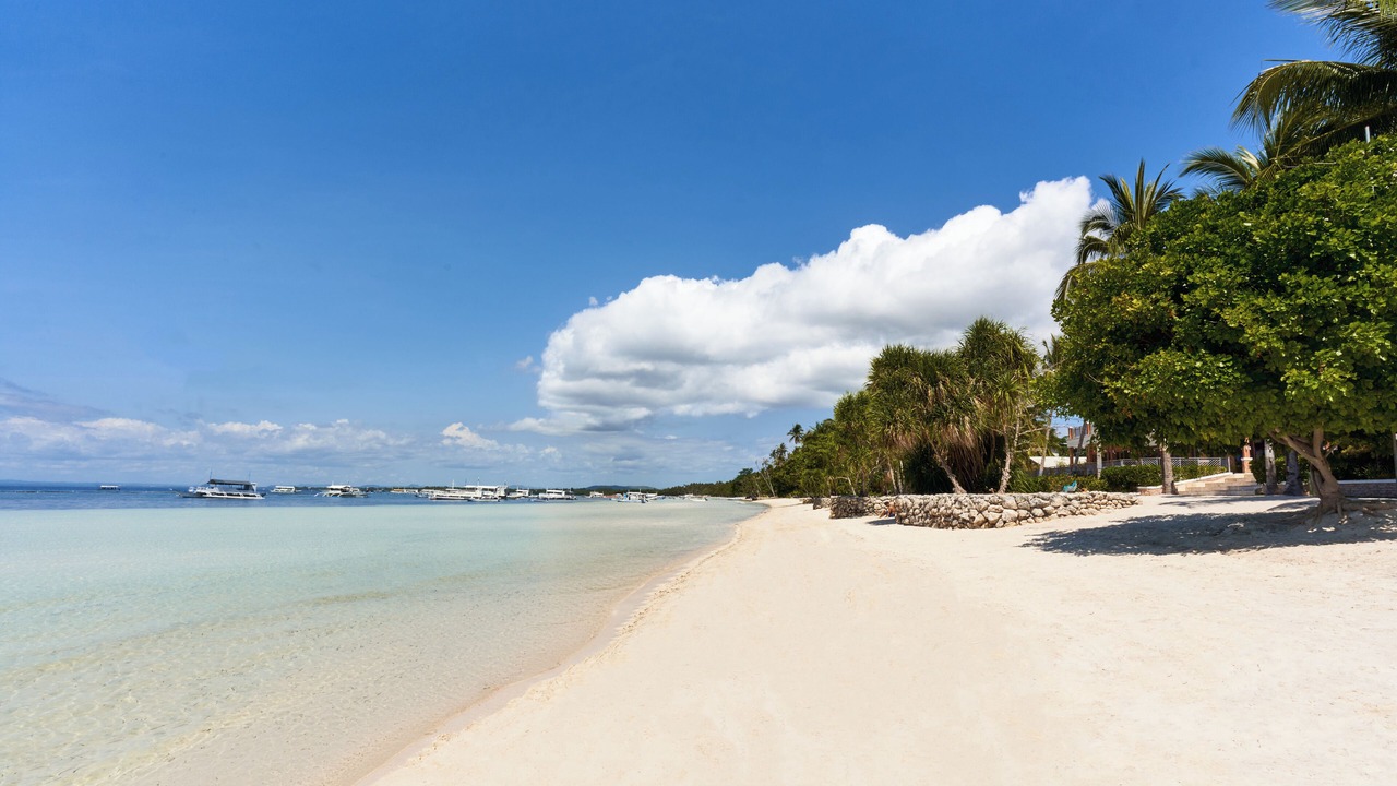 Photo of Others in Panglao