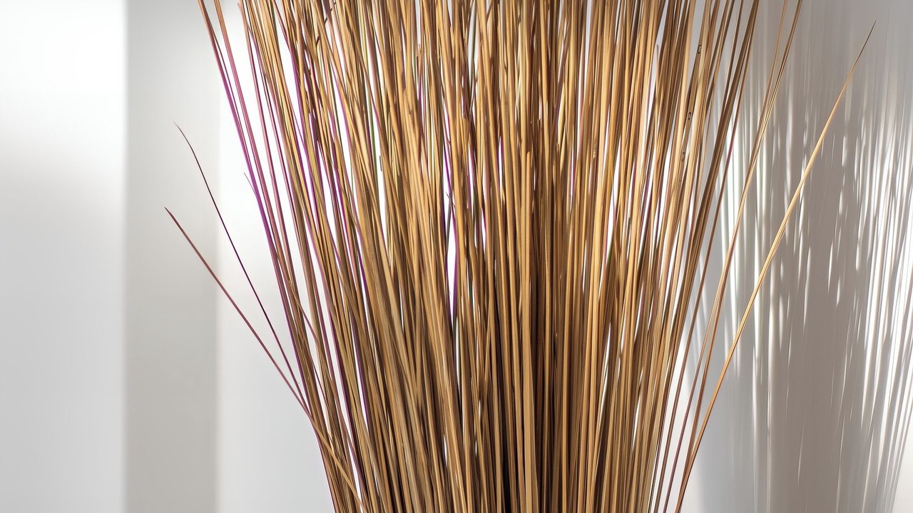 Photo of Others in Danao