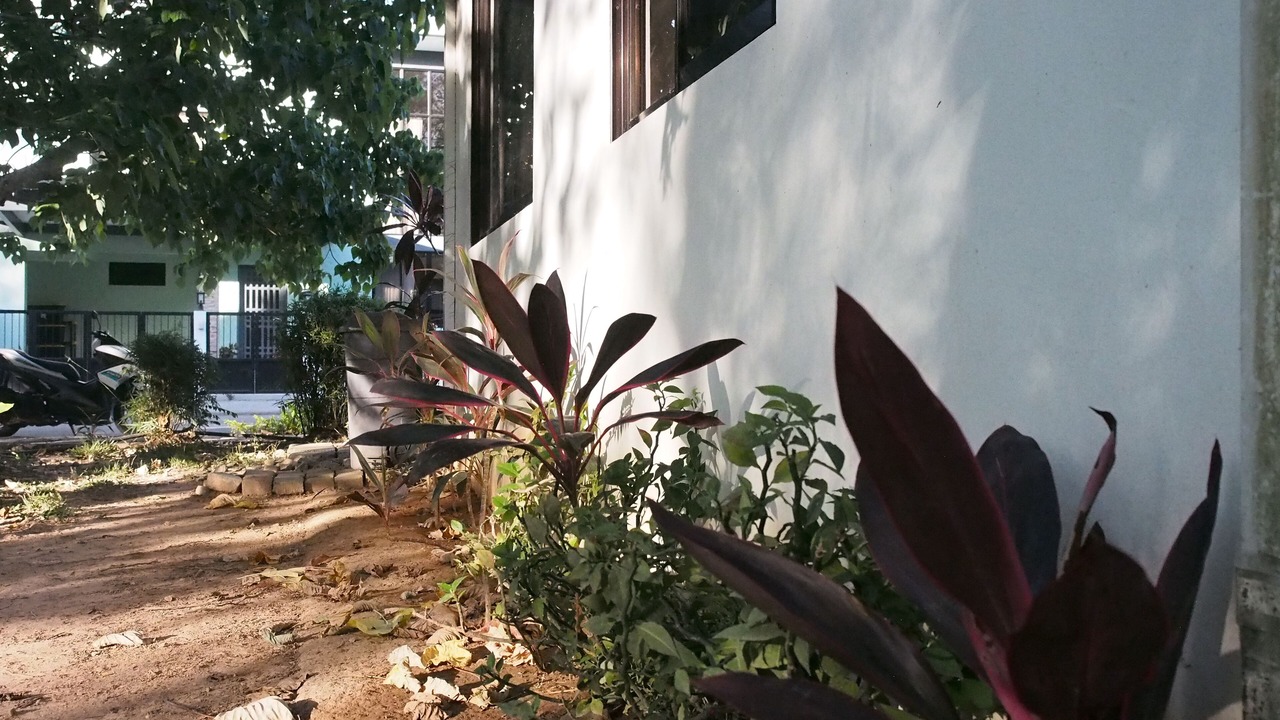 Photo of Outdoor in Coron