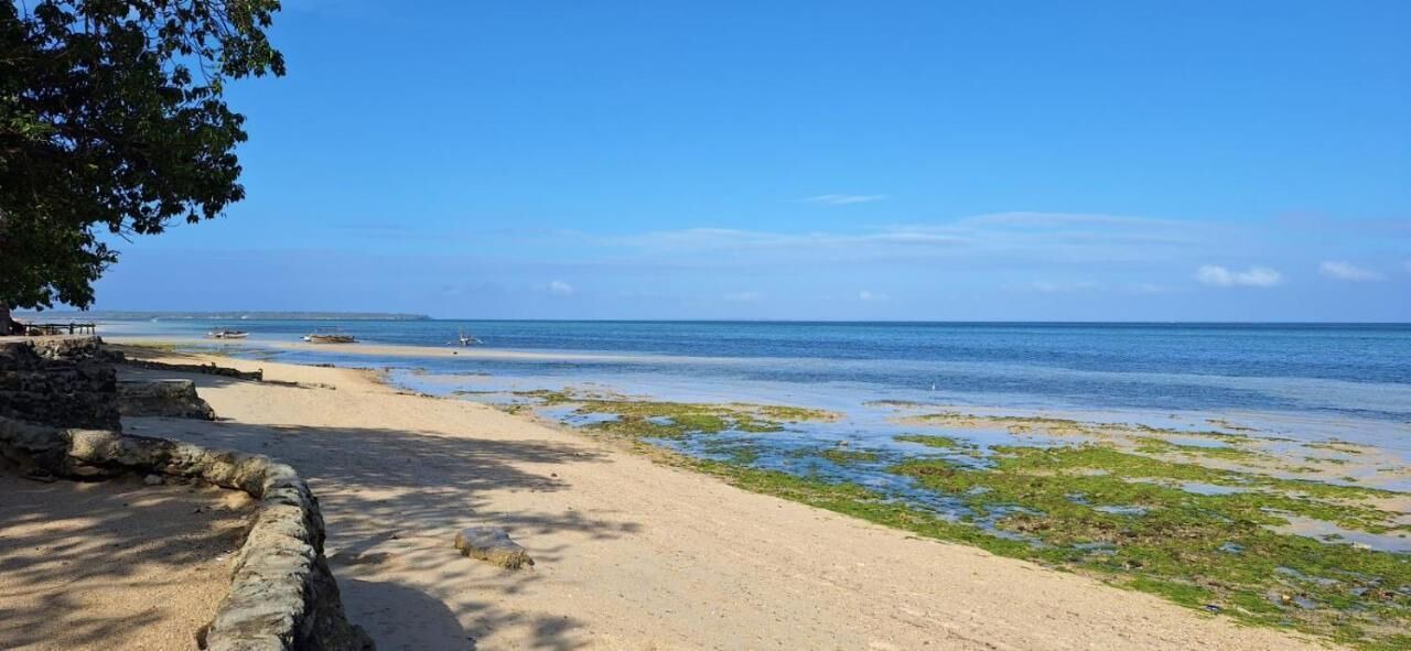 Photo of Outdoor in Daanbantayan