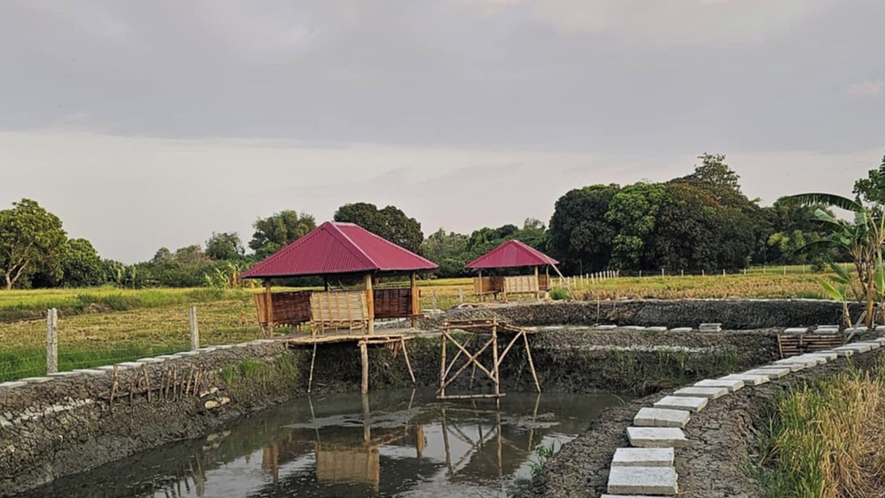 Photo of Outdoor in Cuyapo