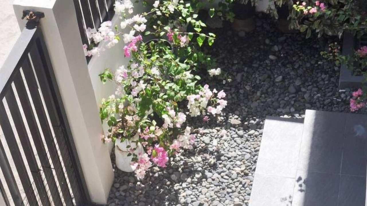 Photo of Outdoor in Bantay