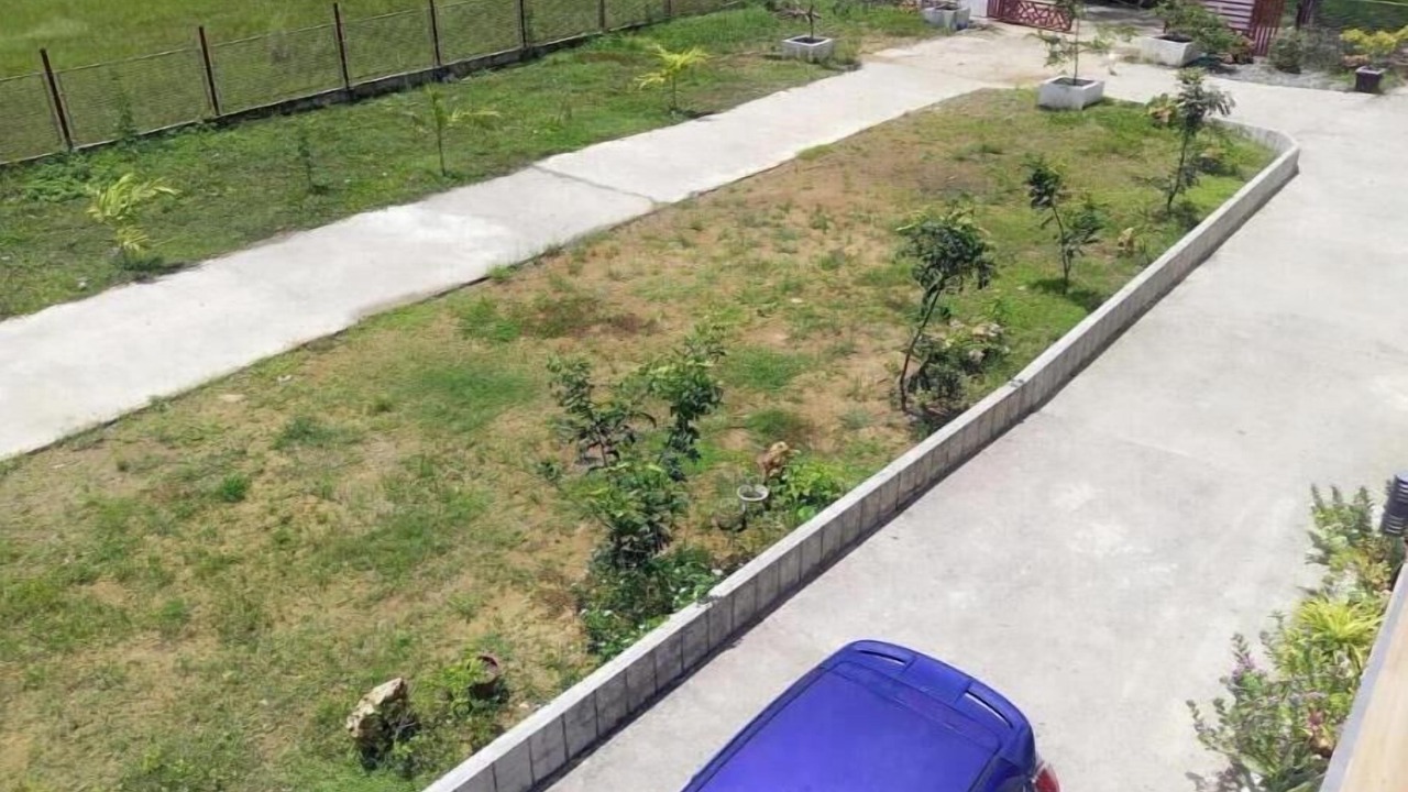 Photo of Outdoor in Alaminos