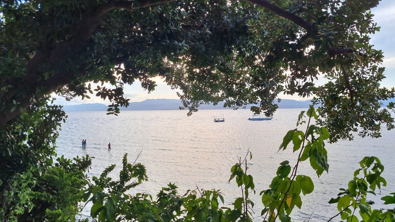Photo of Others in Moalboal