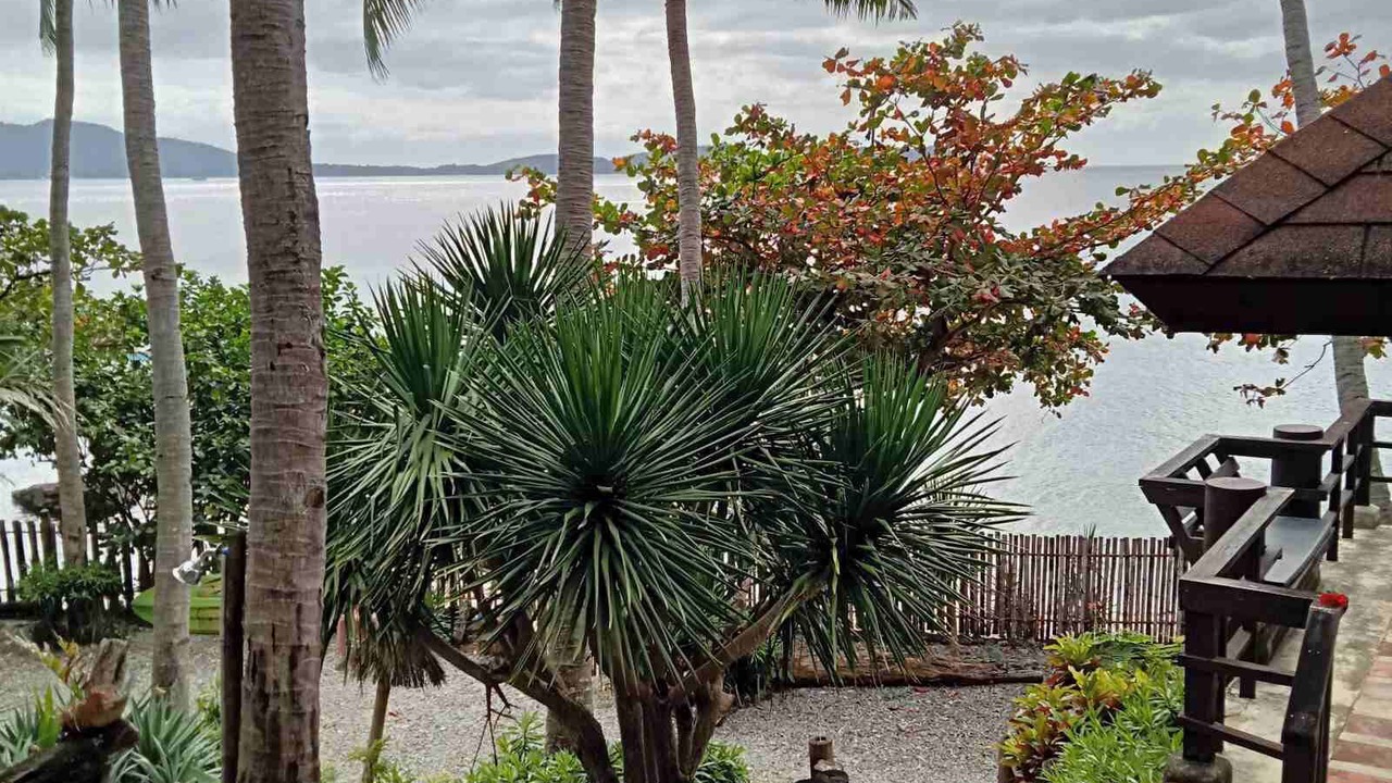 Photo of Outdoor in Anilao