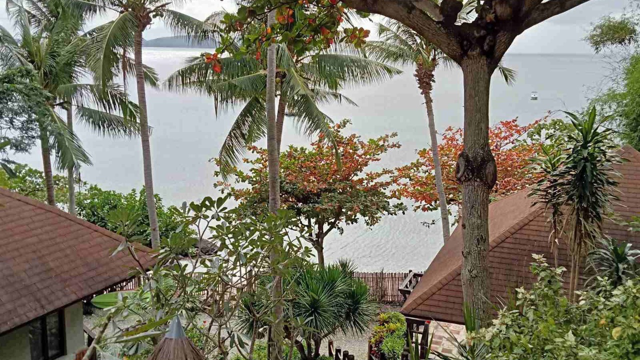 Photo of Outdoor in Anilao