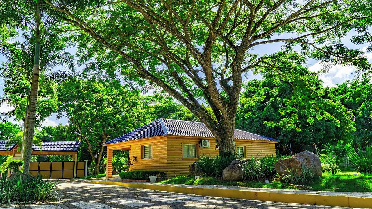Photo of Others in Nagua