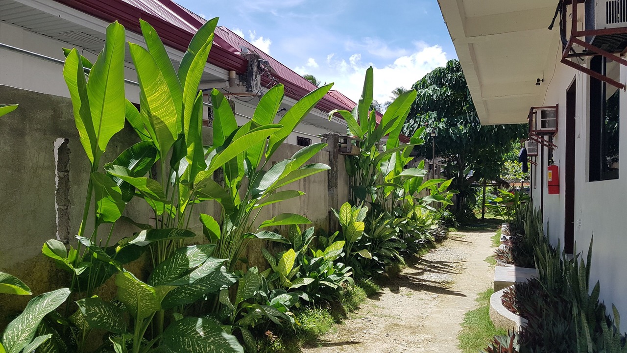 Photo of Outdoor in General Luna