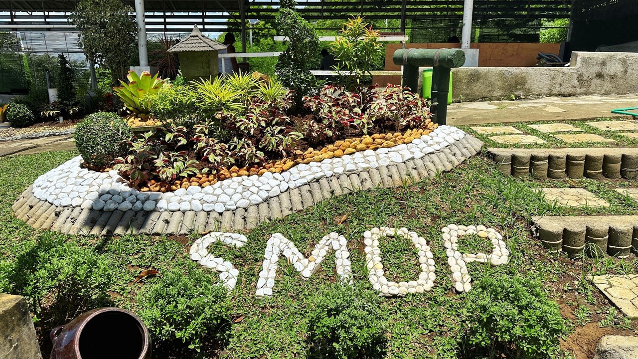 Photo of Outdoor in Ocampo