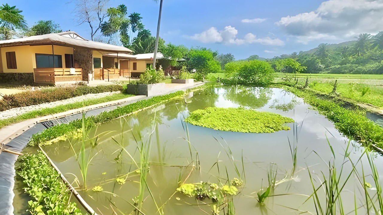 Photo of Patio Balcony in Casiguran