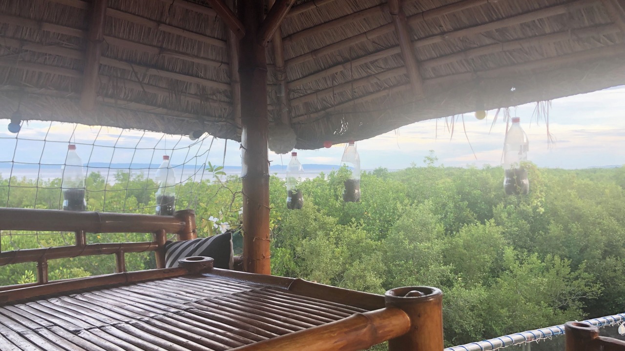 Photo of Outdoor in Carcar