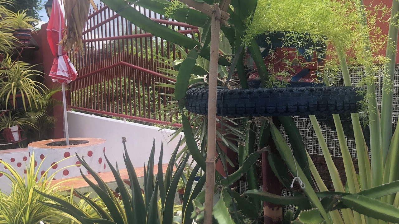 Photo of Outdoor in Carcar