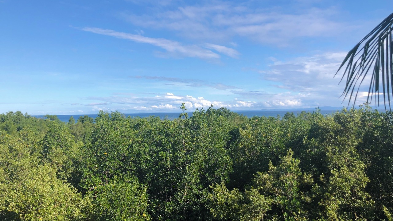 Photo of Outdoor in Carcar