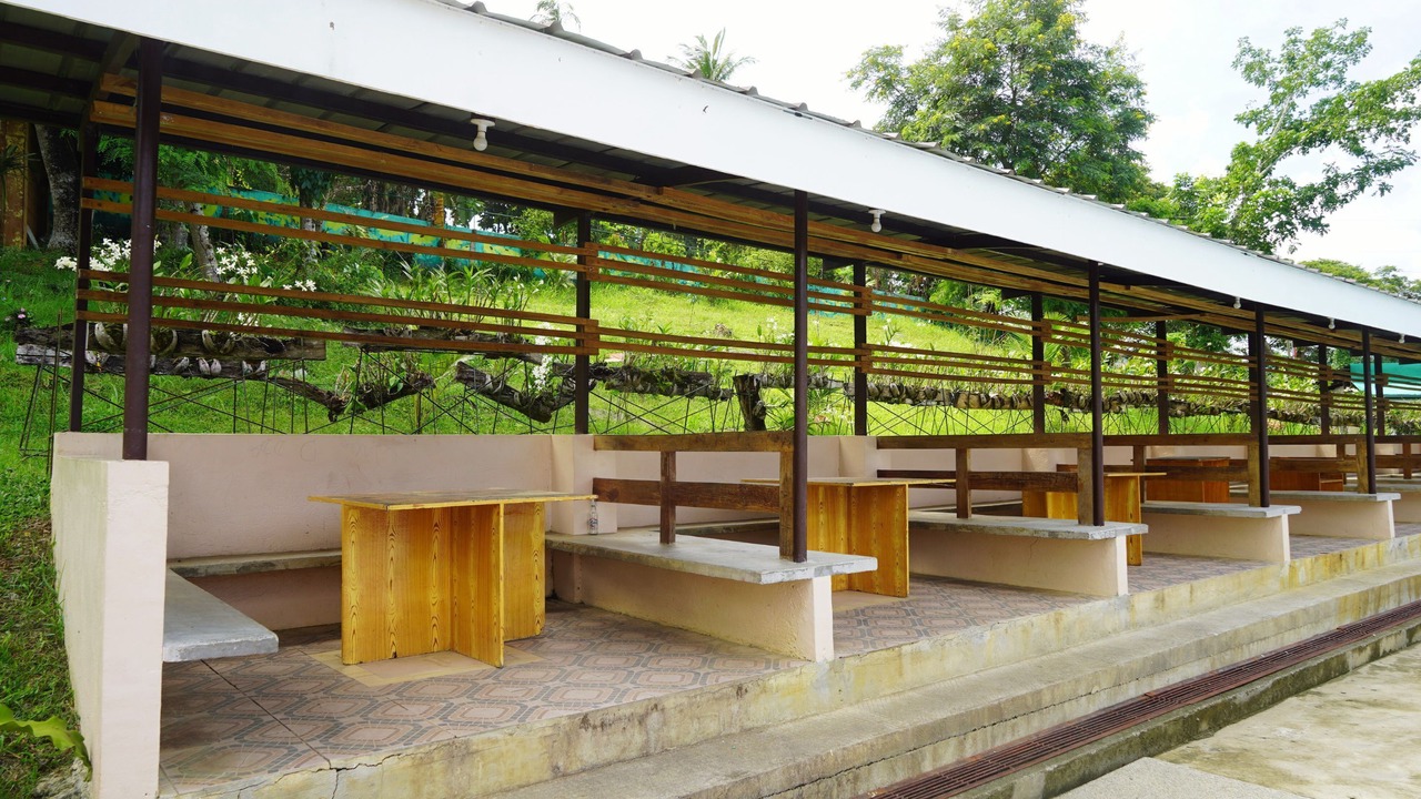 Photo of Outdoor in Pinamungajan