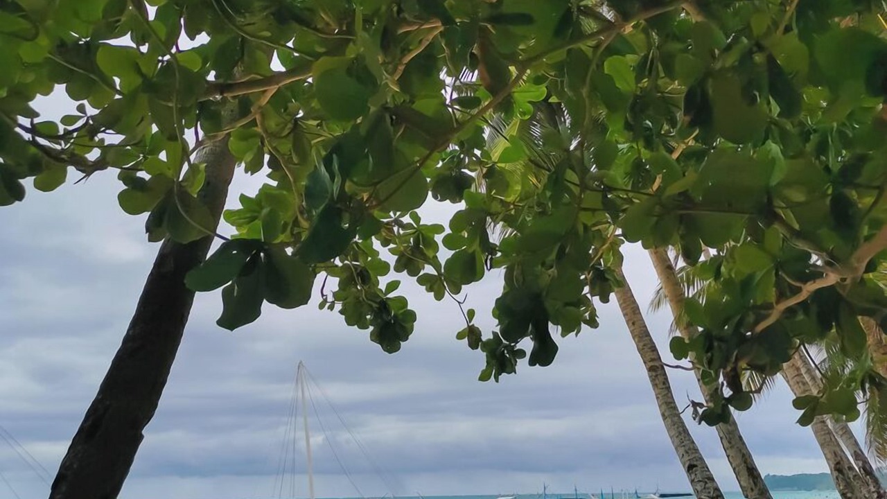 Photo of Outdoor in Manoc-Manoc