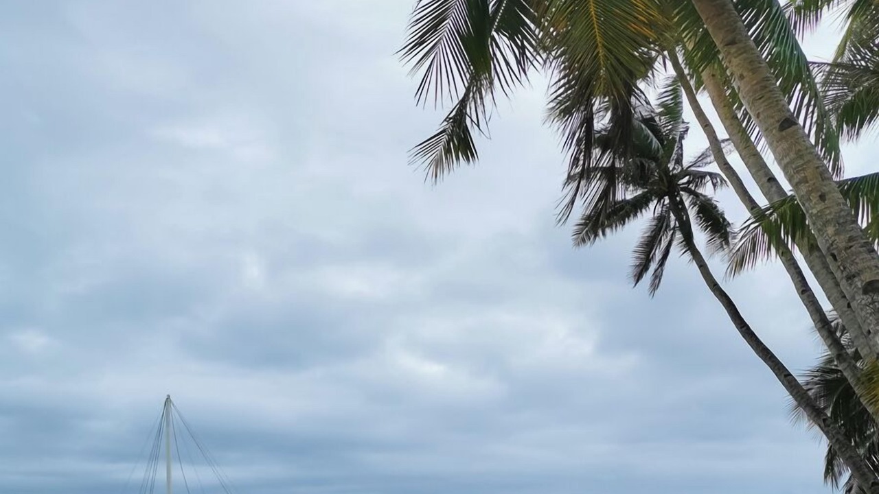 Photo of Outdoor in Manoc-Manoc