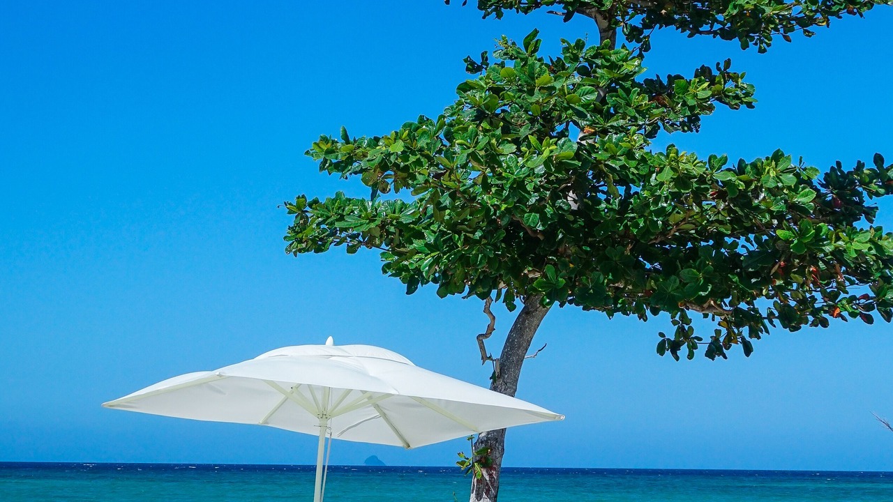 Photo of Others in Daanbantayan