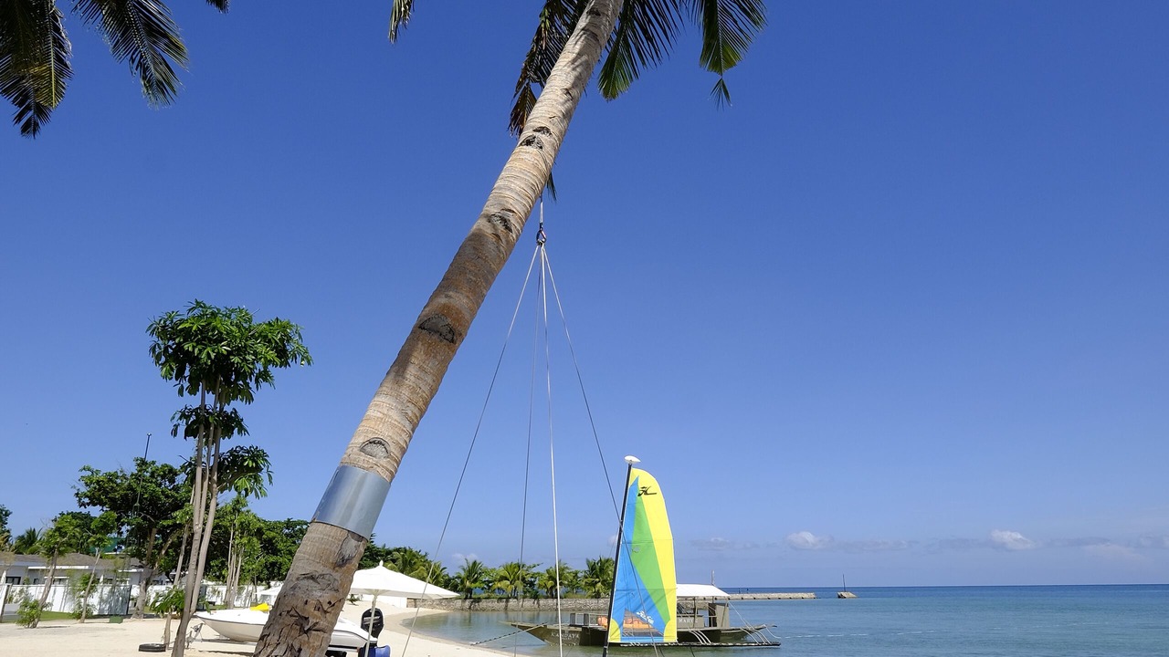 Photo of Others in Daanbantayan