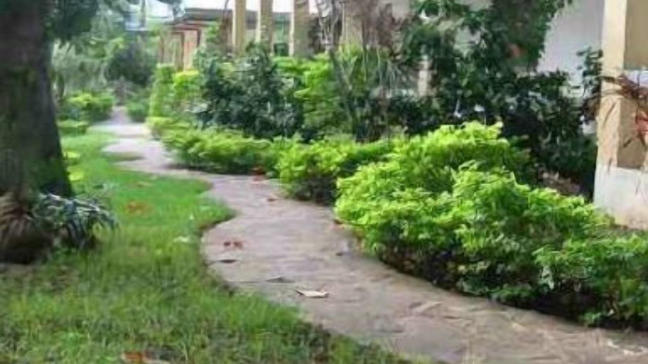 Photo of Outdoor in Basak
