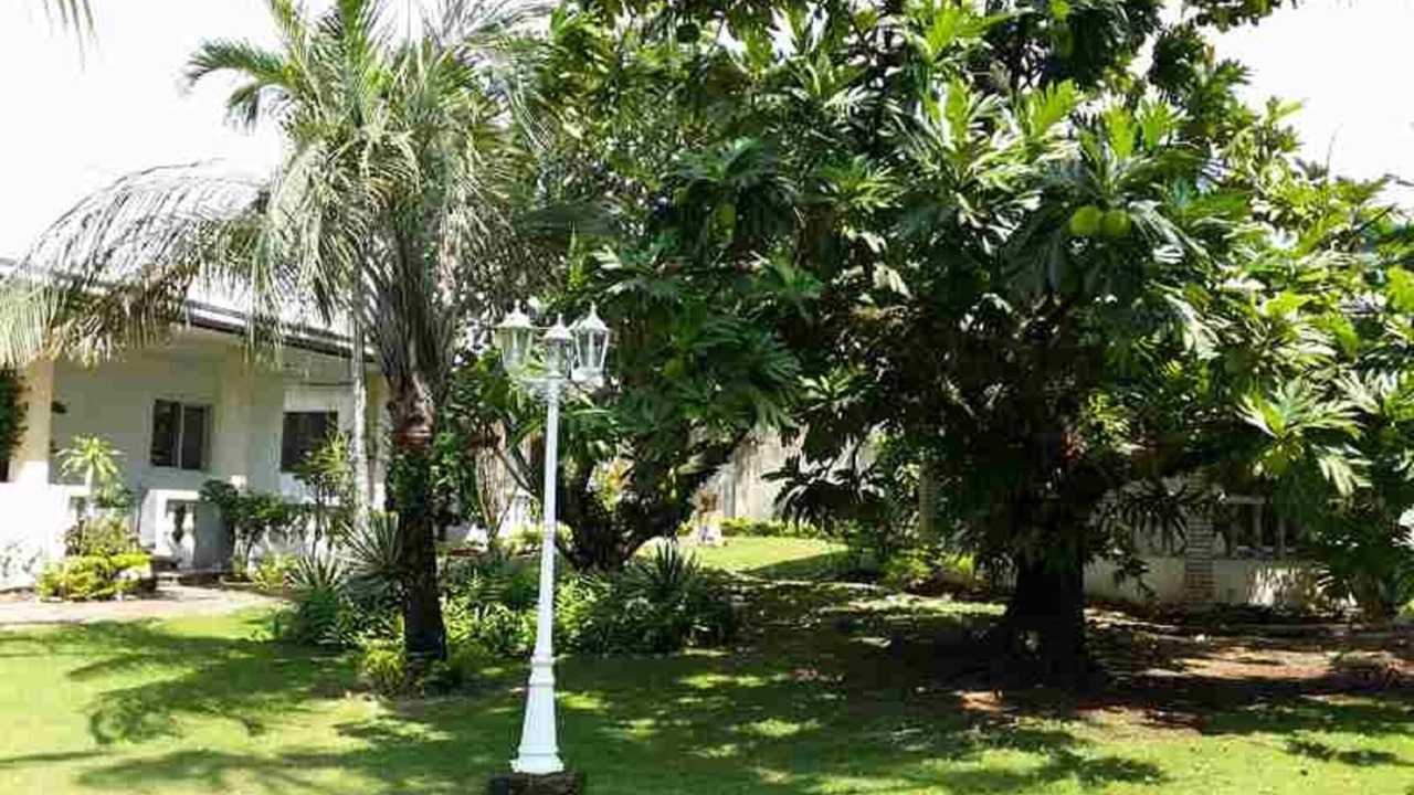 Photo of Outdoor in Basak