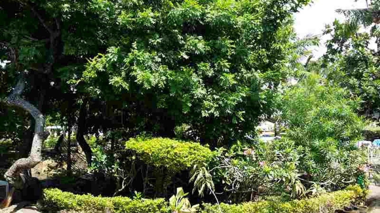 Photo of Outdoor in Basak