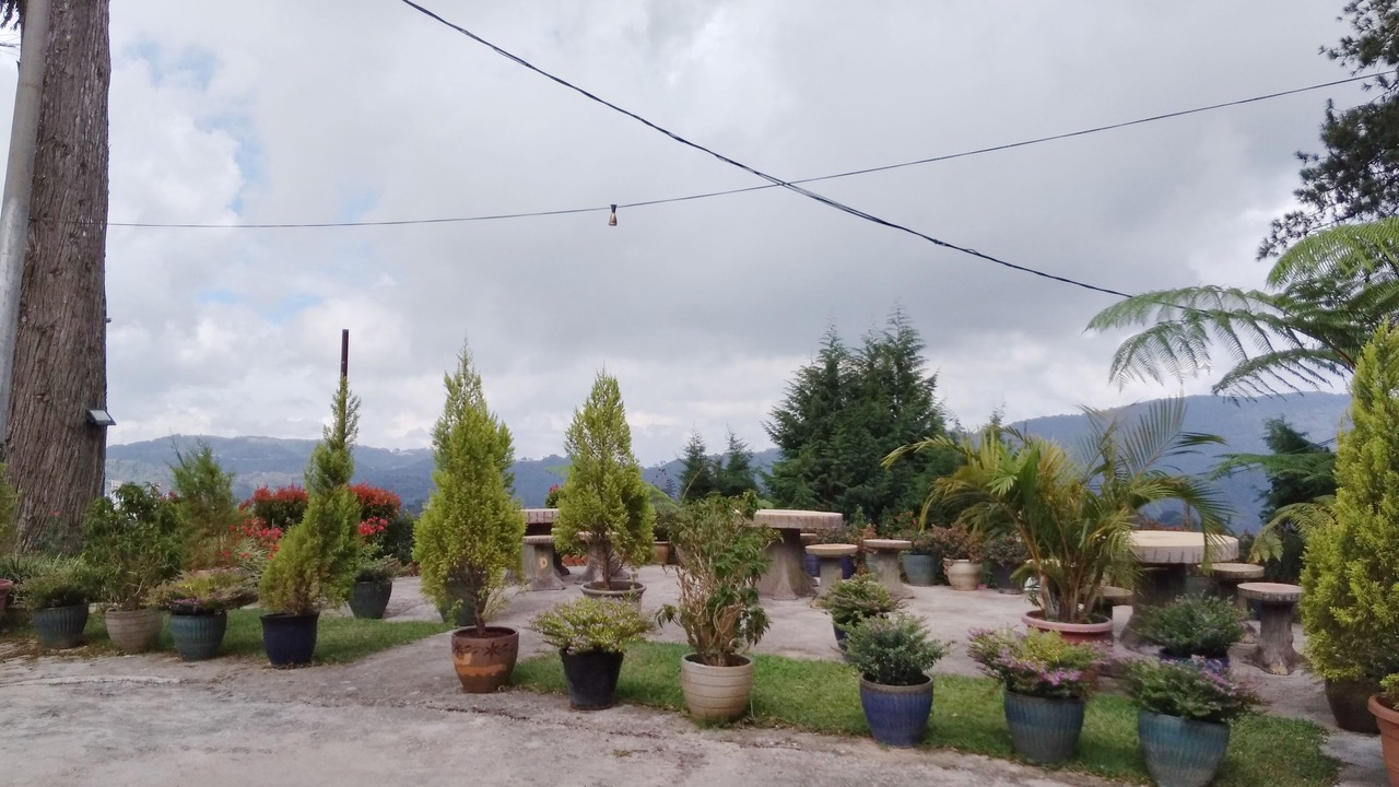 Photo of Outdoor in Brinchang