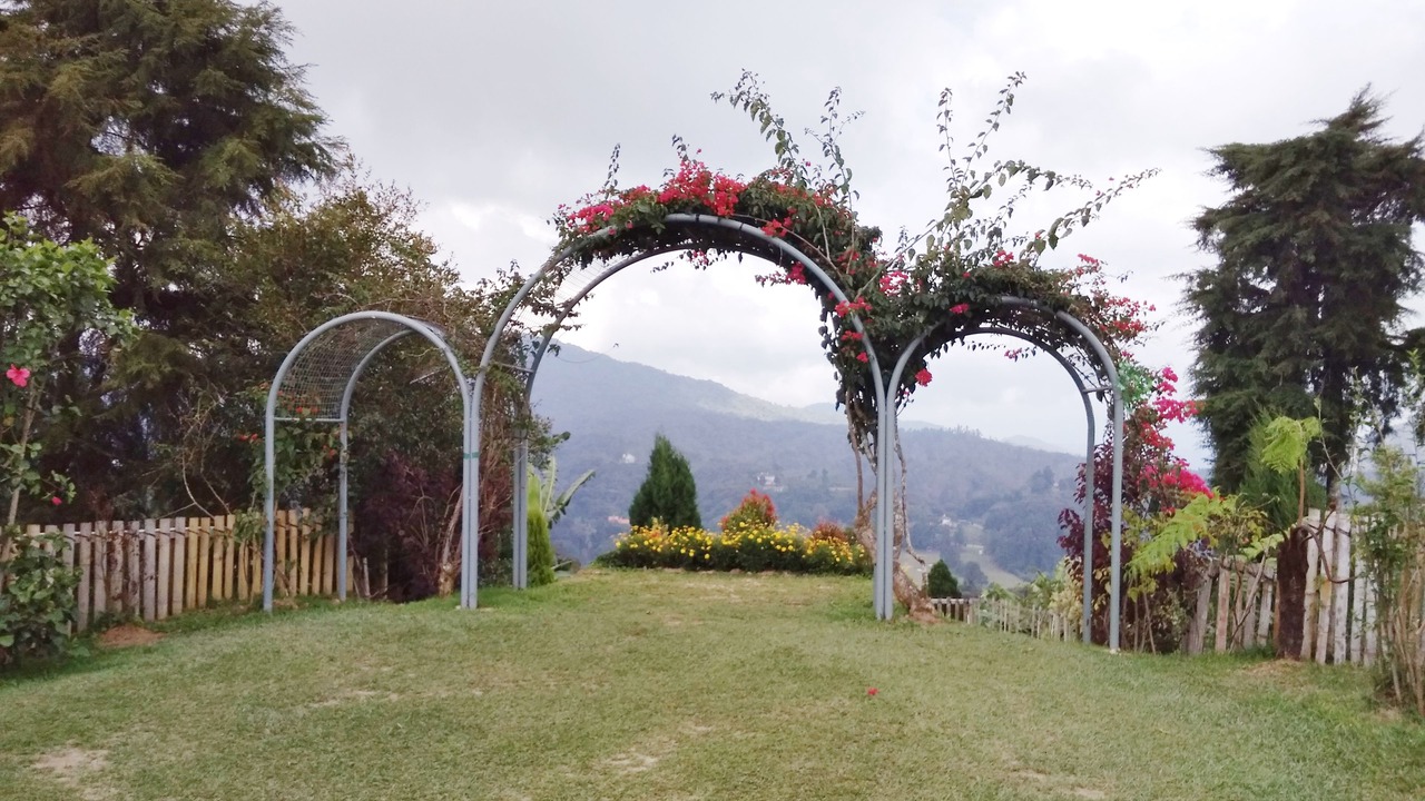 Photo of Outdoor in Brinchang