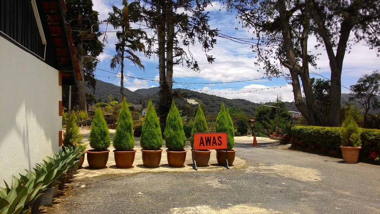 Photo of Outdoor in Brinchang