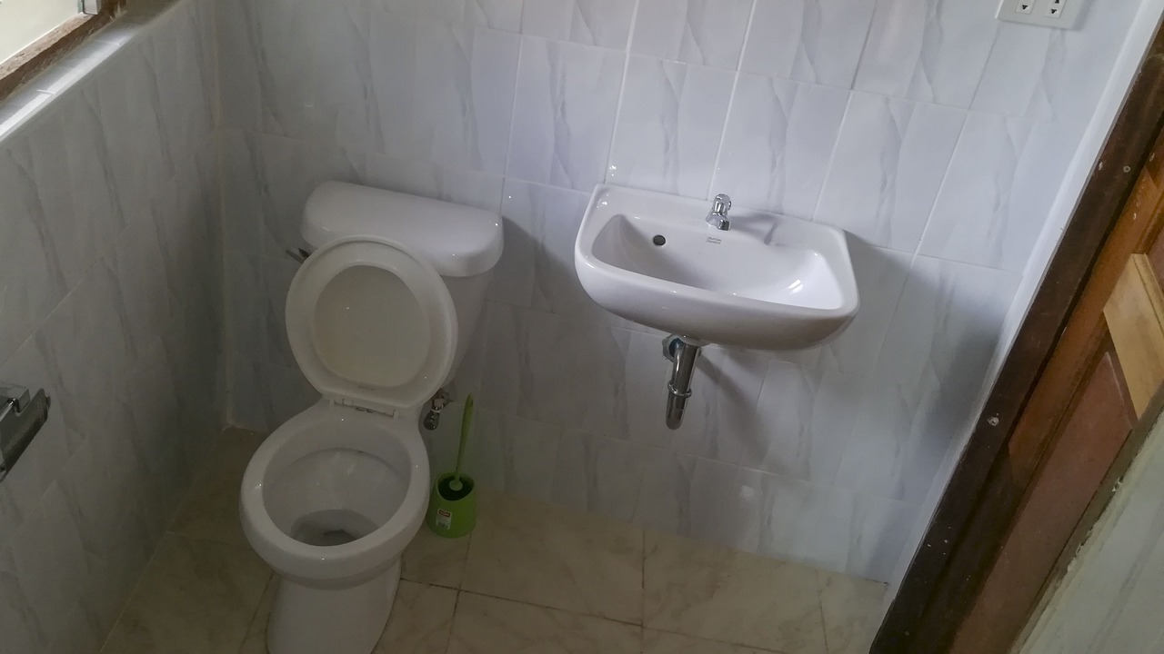 Photo of Bathroom in Calape