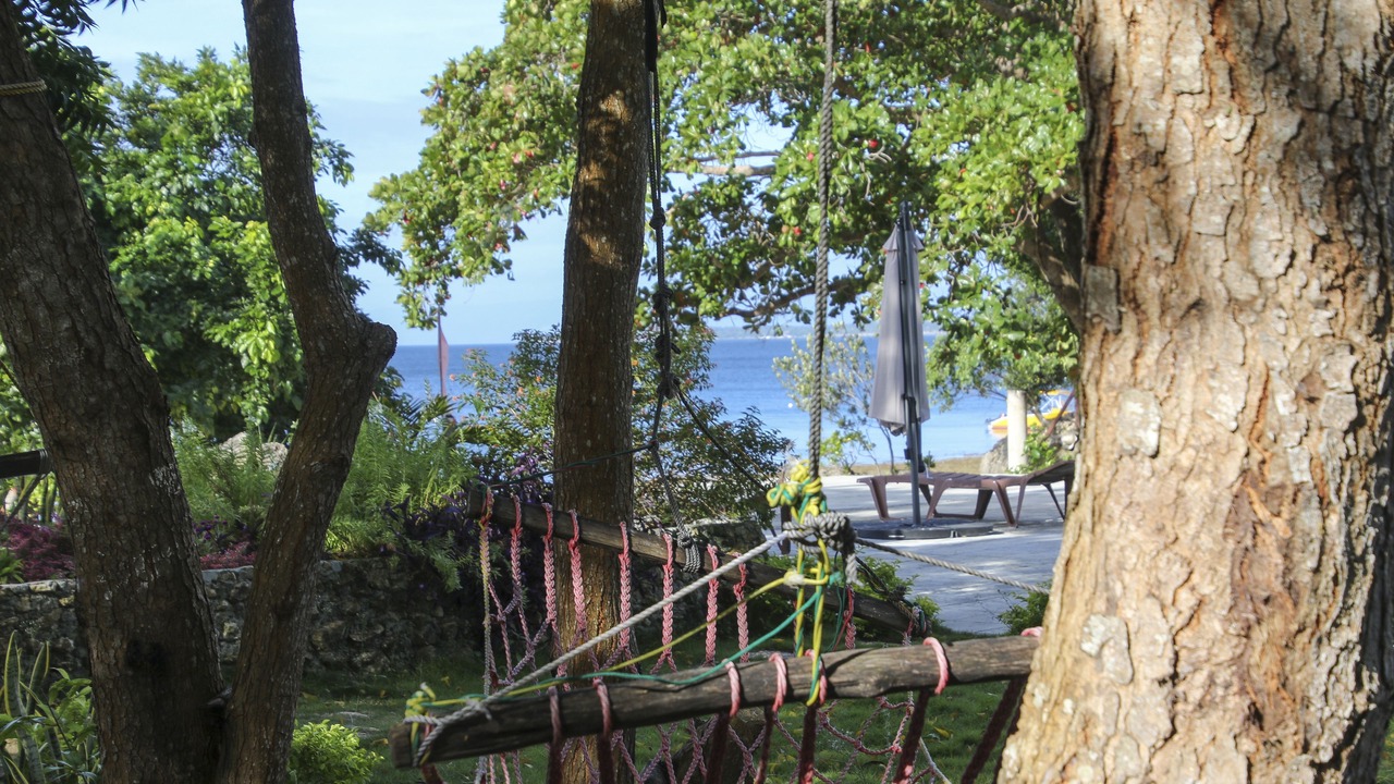Photo of Outdoor in Calape