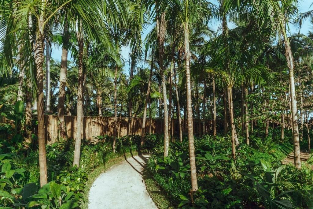 Photo of Outdoor in General Luna