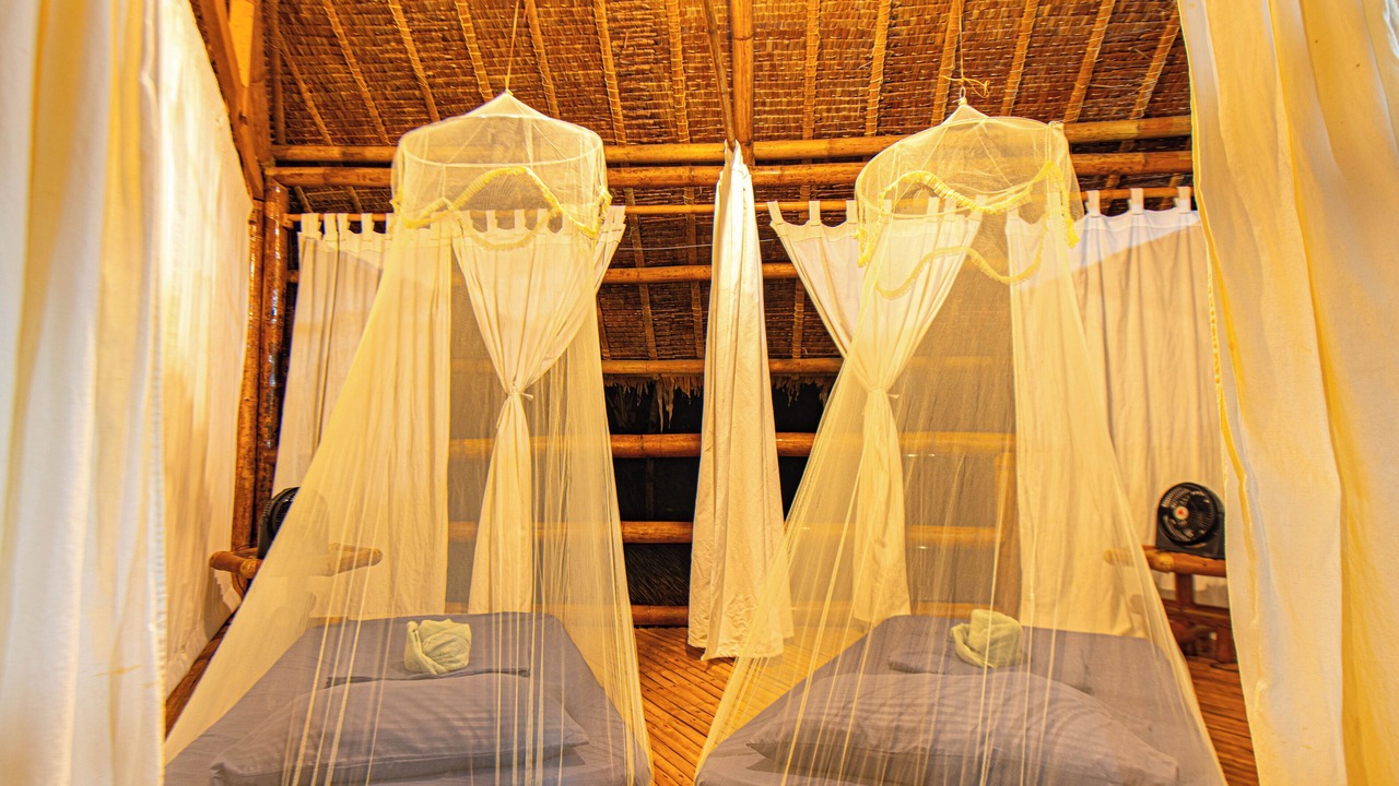 Photo of Bedroom in Loboc