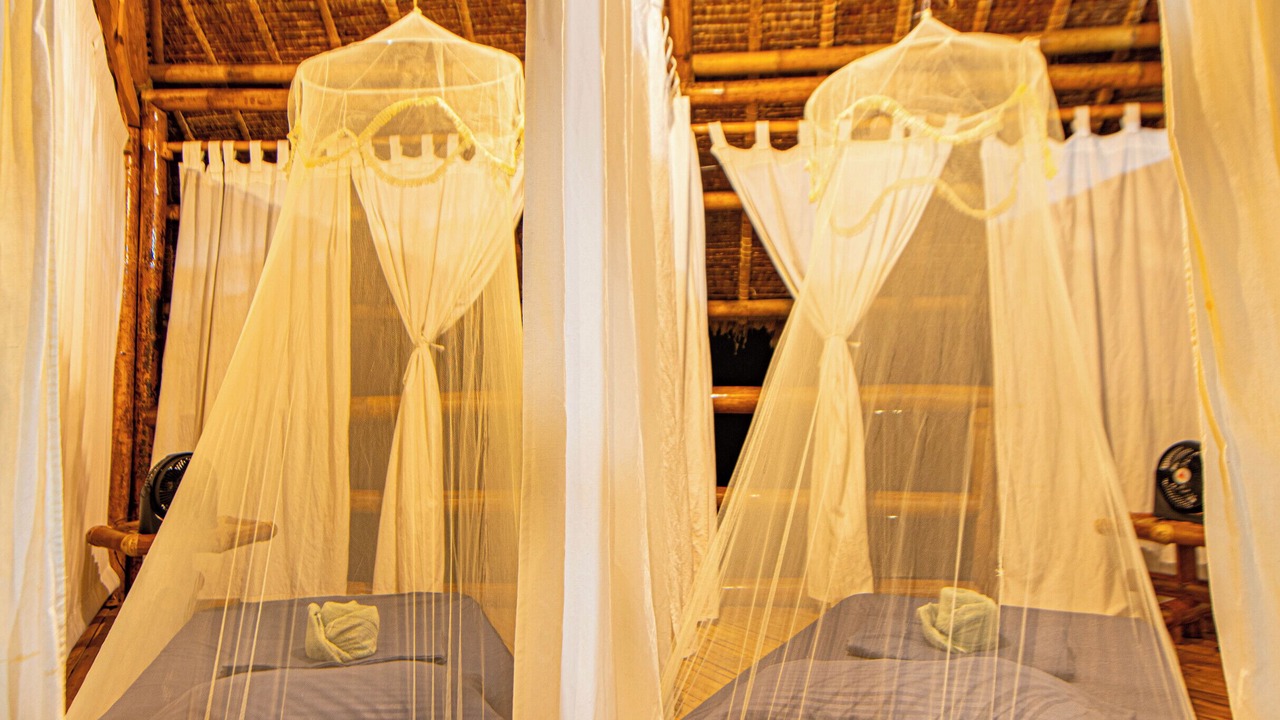 Photo of Bedroom in Loboc