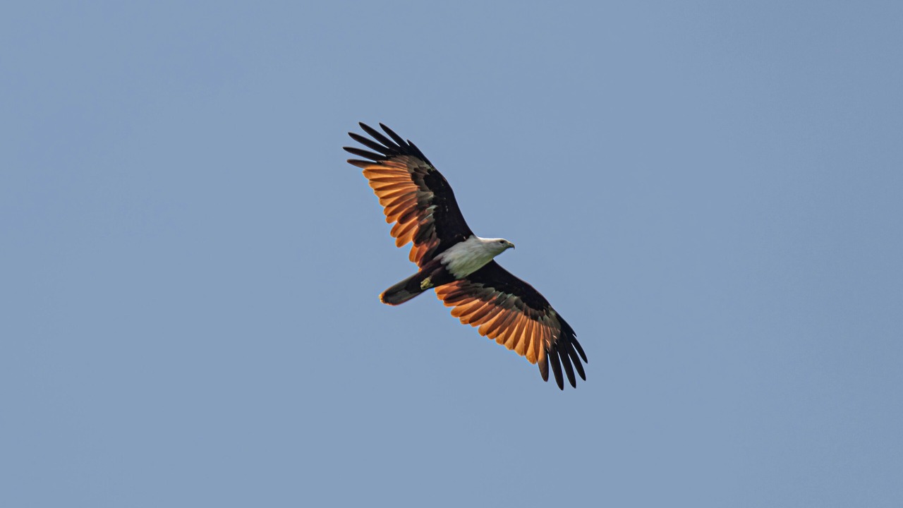 Photo of Outdoor in Loboc