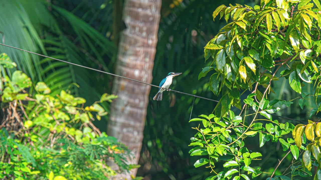 Photo of Outdoor in Loboc