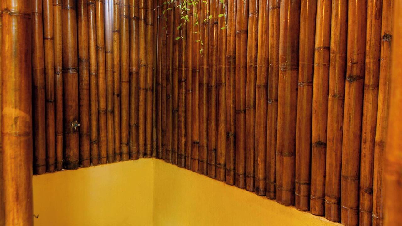 Photo of Bathroom in Loboc