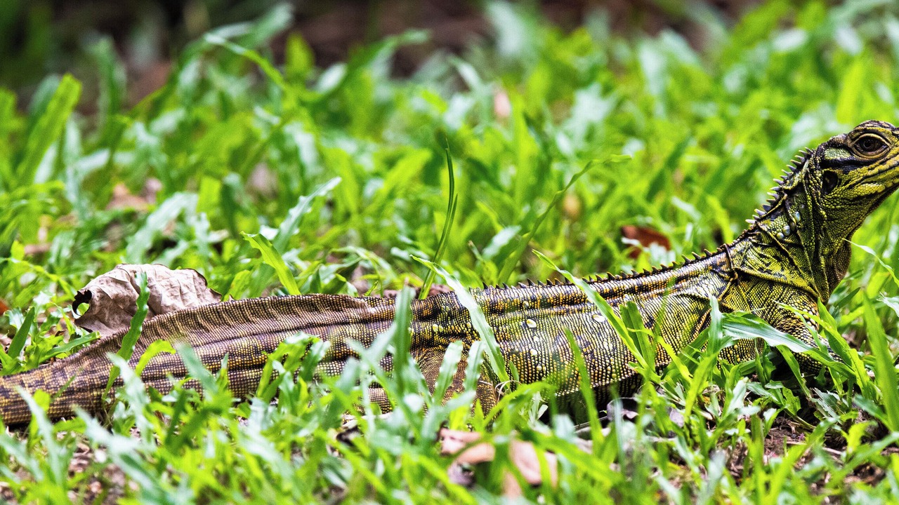Photo of Outdoor in Loboc