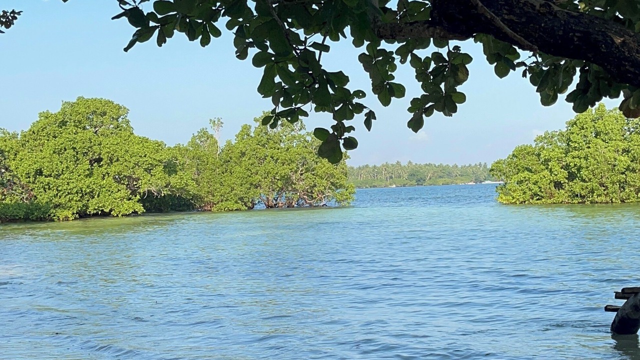 Photo of Others in Catangnan
