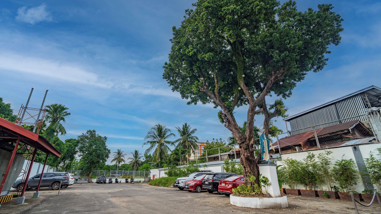 Photo of Outdoor in Naga