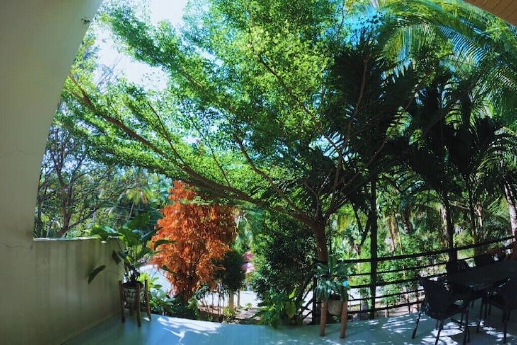 Photo of Outdoor in San Francisco Island