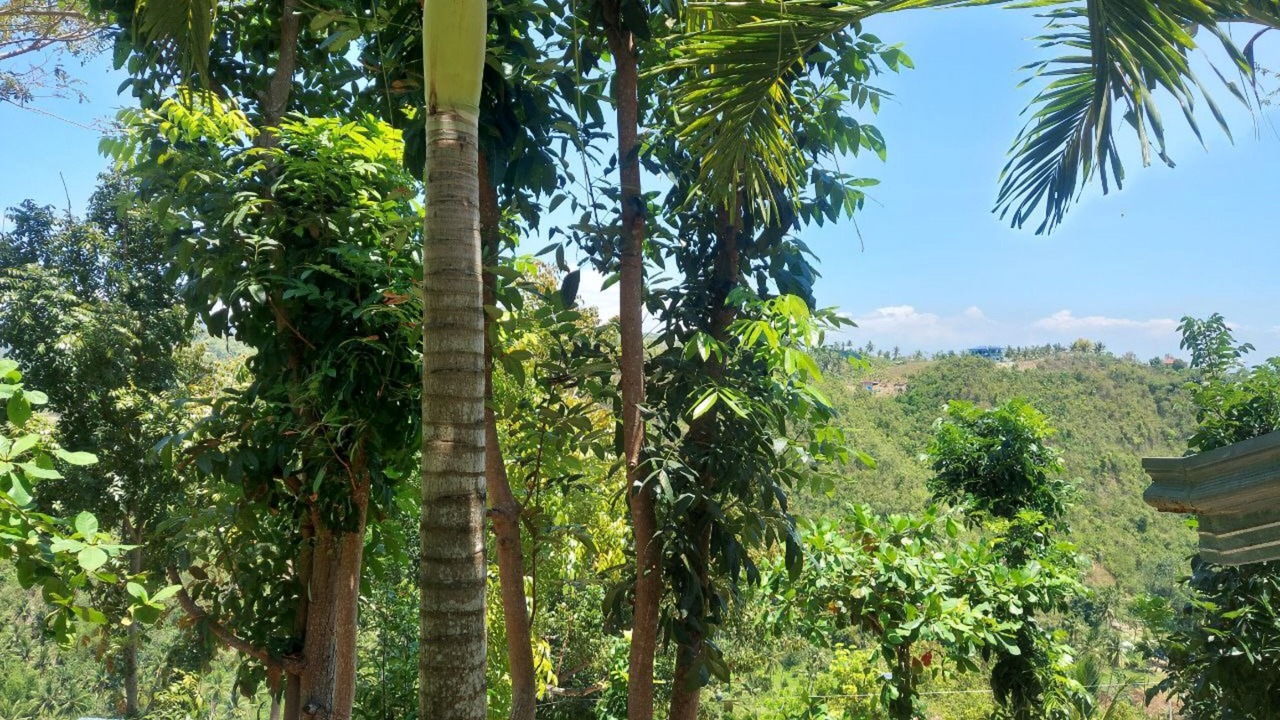 Photo of Outdoor in Sibonga