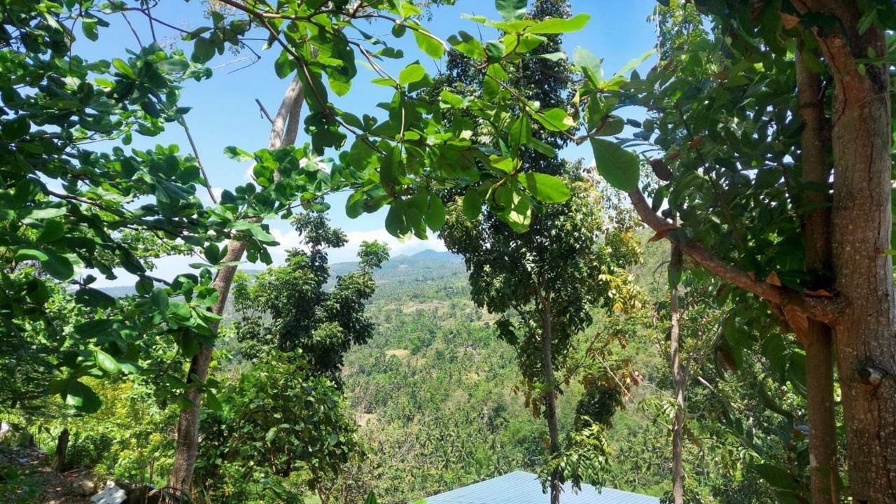 Photo of Outdoor in Sibonga