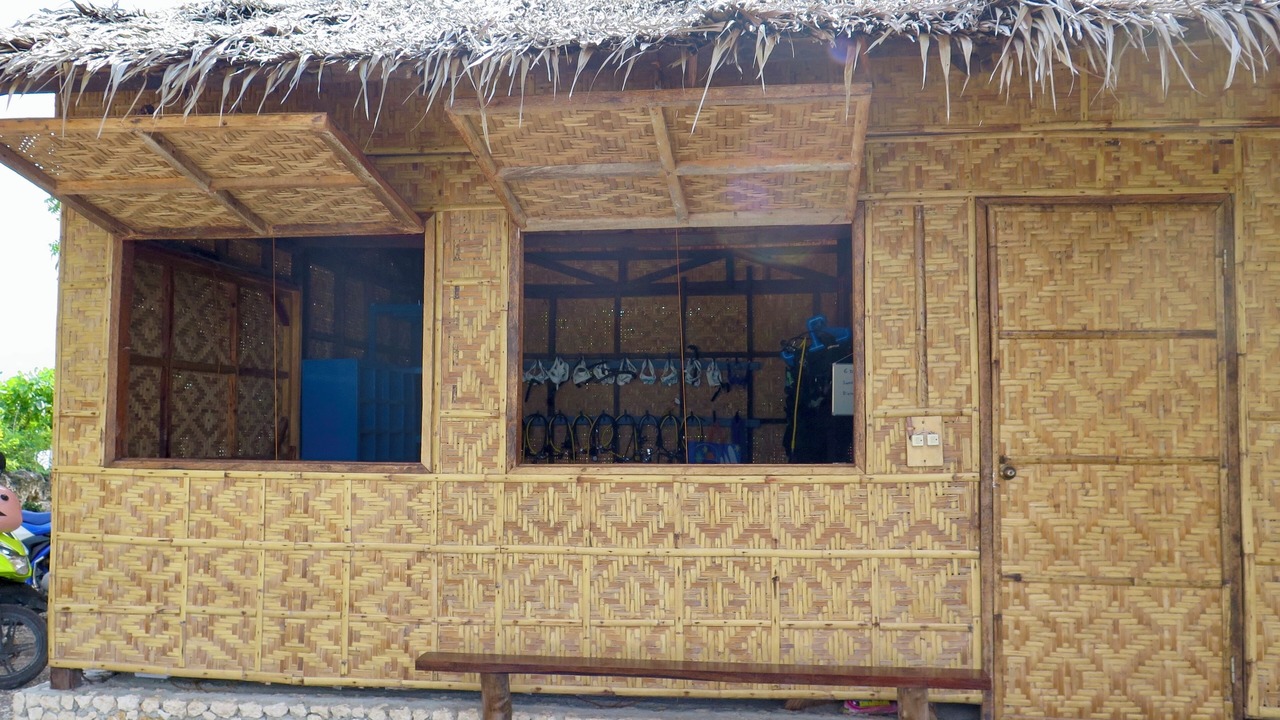 Photo of Others in Moalboal