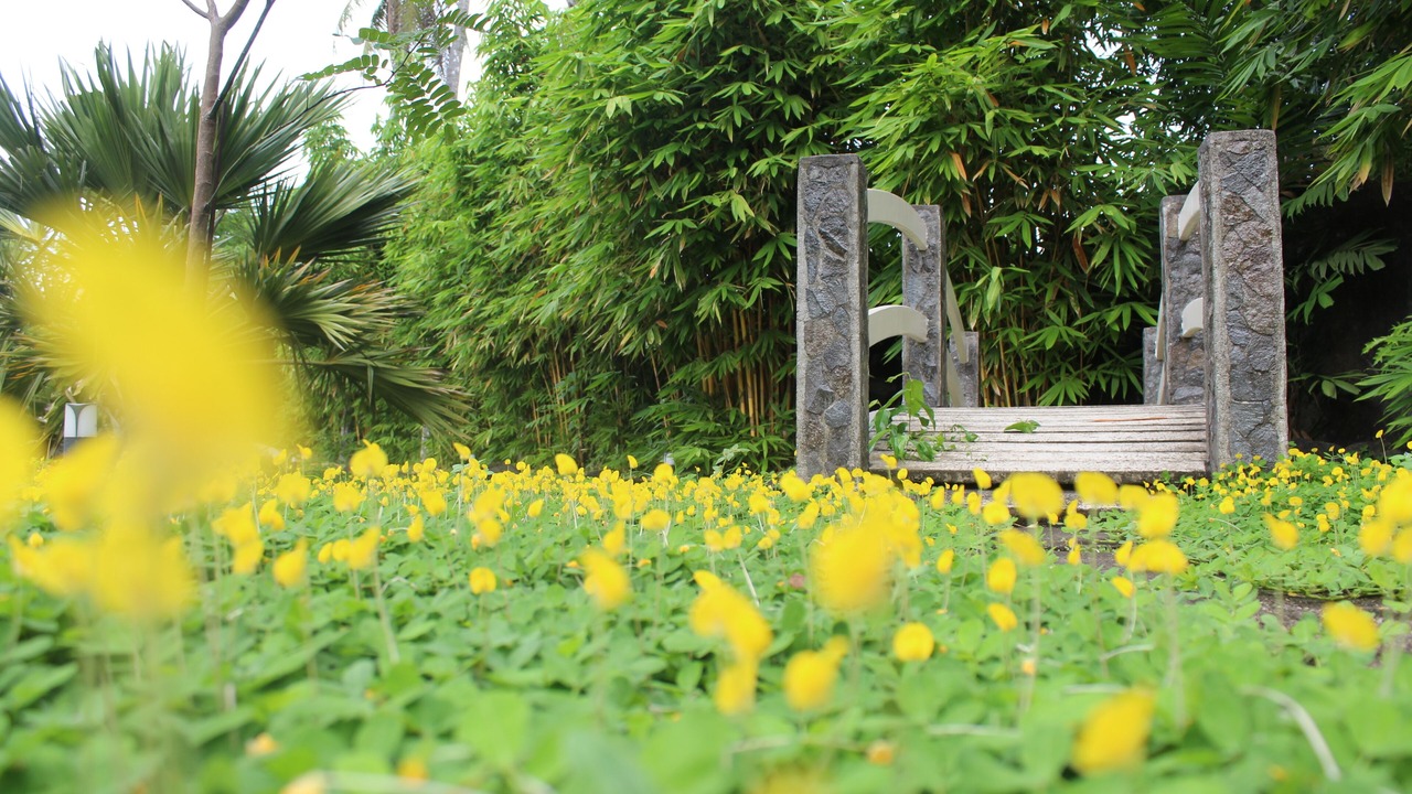 Photo of Outdoor in Guinobatan