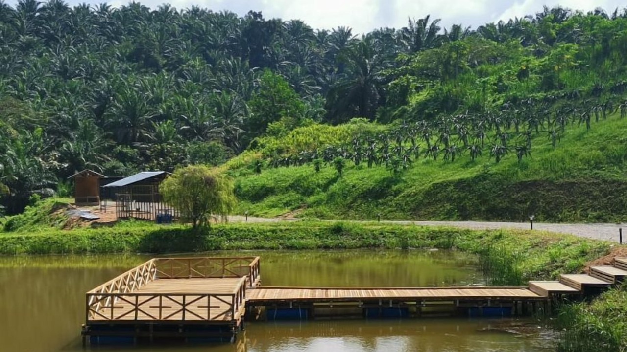 Photo of Outdoor in Kluang